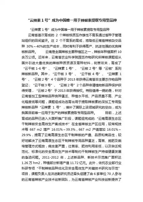 “云辣素1号”成为中国唯一用于辣椒素提取专用型品种