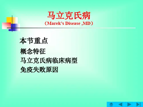 马立克氏病