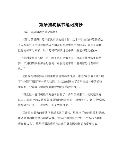 第条猎狗读书笔记摘抄