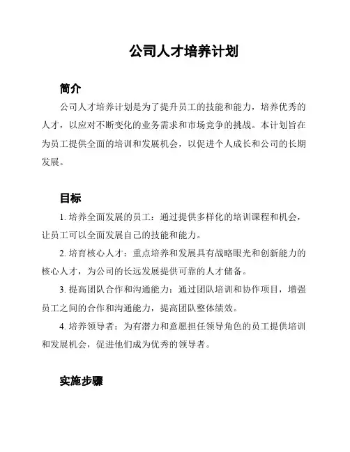 公司人才培养计划