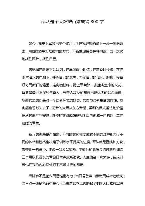 部队是个大熔炉百炼成钢800字