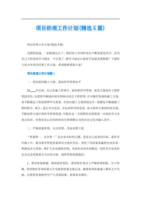 项目经理工作计划(精选5篇)