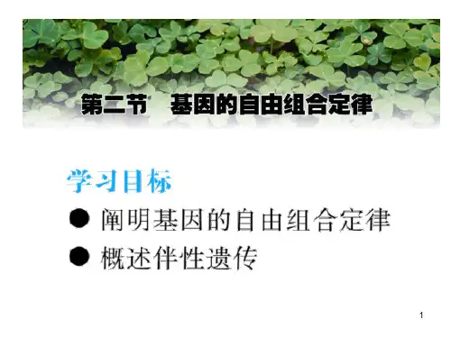 基因的自由组合定律完美PPT演示文稿