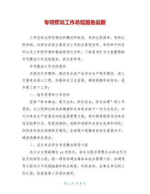 专项整治工作总结报告最新