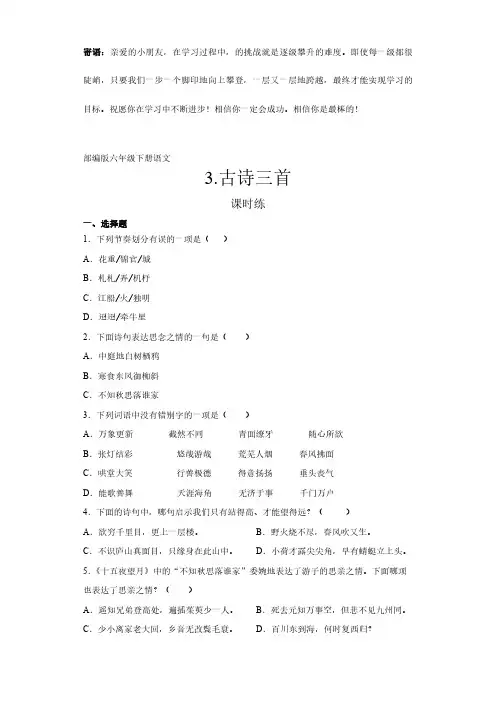 六年级下册语文部编版课时练古诗三首 -(试卷配答案)(2)
