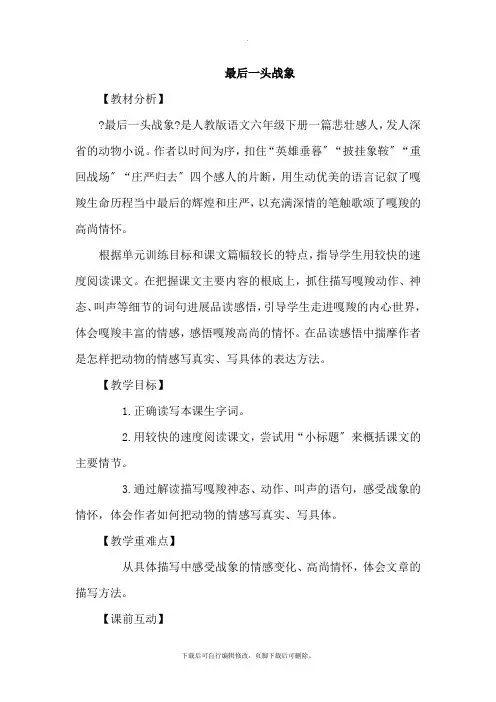 最后一头战象 课堂实录