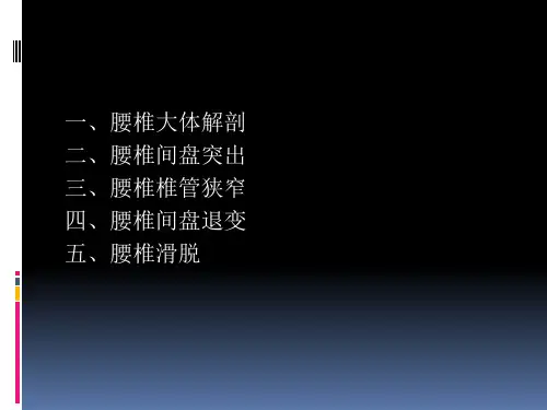 腰椎间盘突出影像学ppt课件