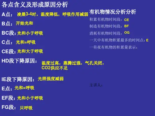 光合作用和呼吸作用综合曲线