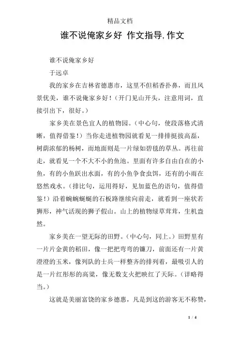 谁不说俺家乡好 作文指导,作文