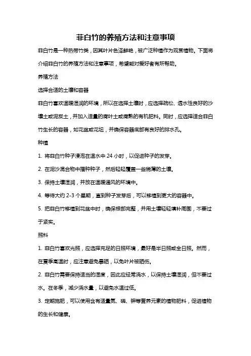 菲白竹的养殖方法和注意事项