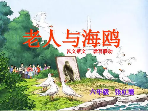 五年级下册语文优秀课件-课文9《老人与海鸥 》语文S版(共21张PPT)