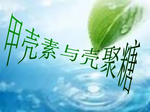 甲壳素与壳聚糖综述