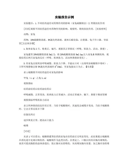 实验报告示例