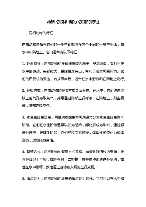 两栖动物和爬行动物的特征