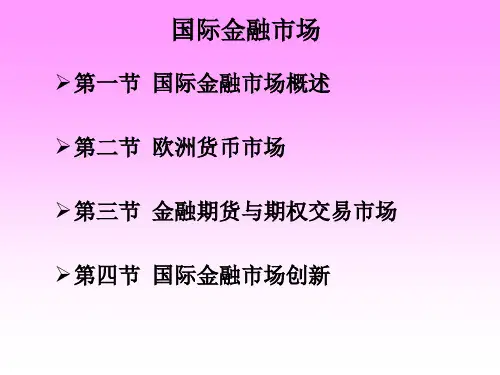 国际金融市场(ppt 49)
