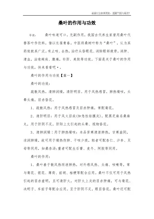 桑叶的作用与功效