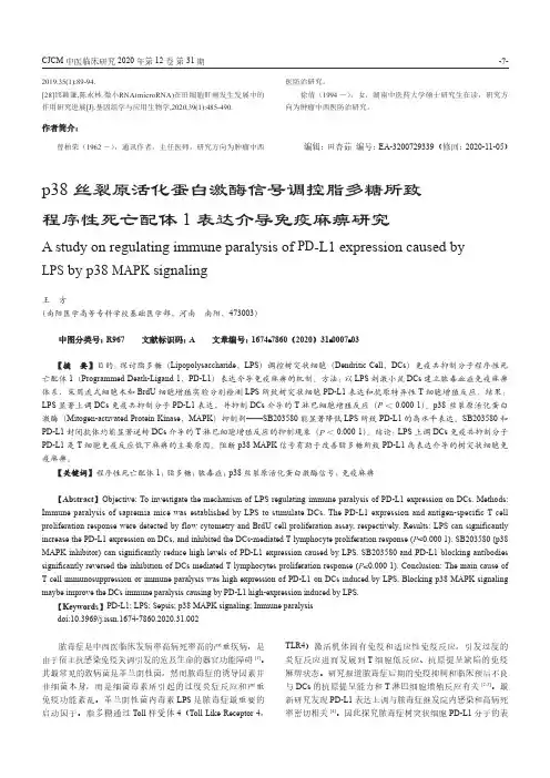 p38丝裂原活化蛋白激酶信号调控脂多糖所致程序性死亡配体1表达介导免疫麻痹研究