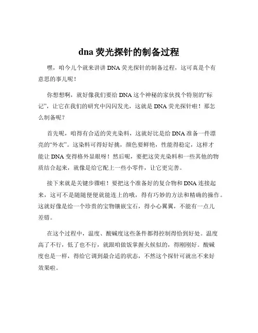 dna荧光探针的制备过程