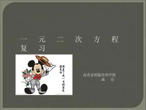 中考复习课件一元二次方程复习