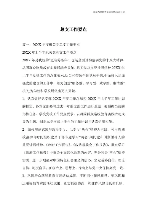 总支工作要点