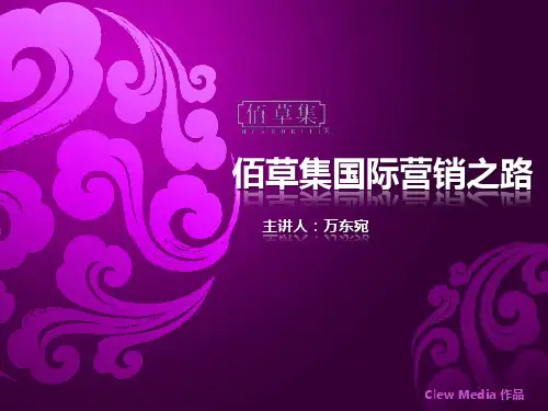 佰草集国际营销之路.ppt