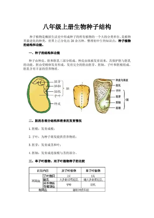 八年级上册生物种子结构