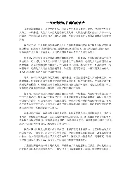 一例犬腹股沟阴囊疝的诊治