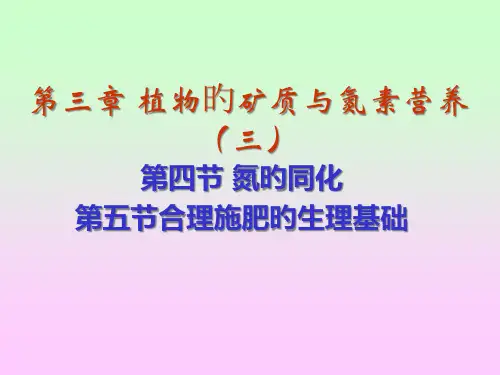 植物的矿质与氮素营养优质获奖课件