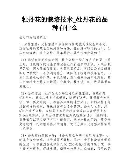 牡丹花的栽培技术_牡丹花的品种有什么