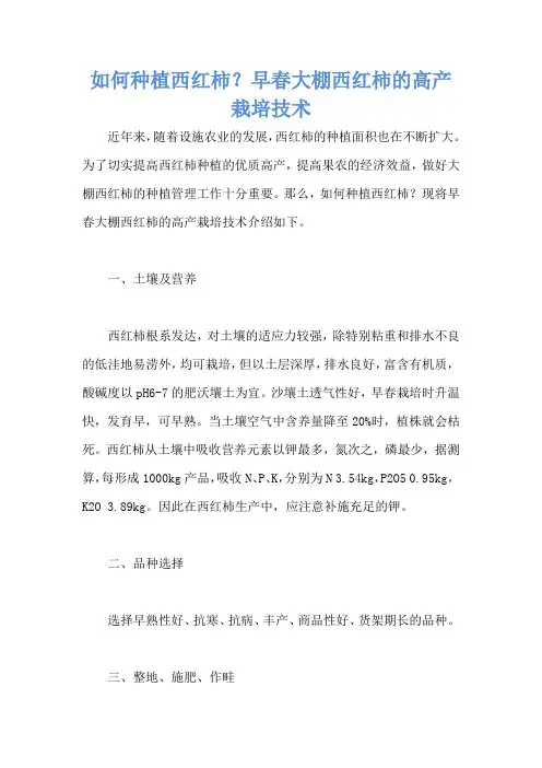 如何种植西红柿？早春大棚西红柿的高产栽培技术