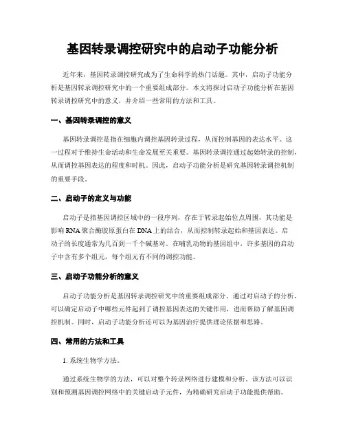 基因转录调控研究中的启动子功能分析