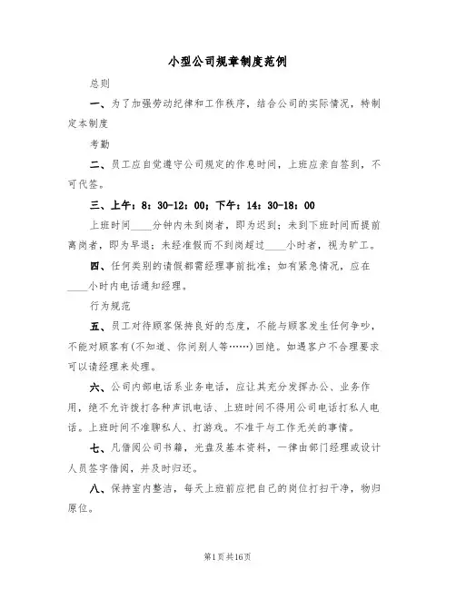 小型公司规章制度范例（五篇）