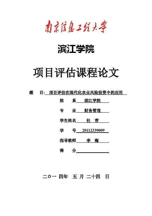 项目评估论文