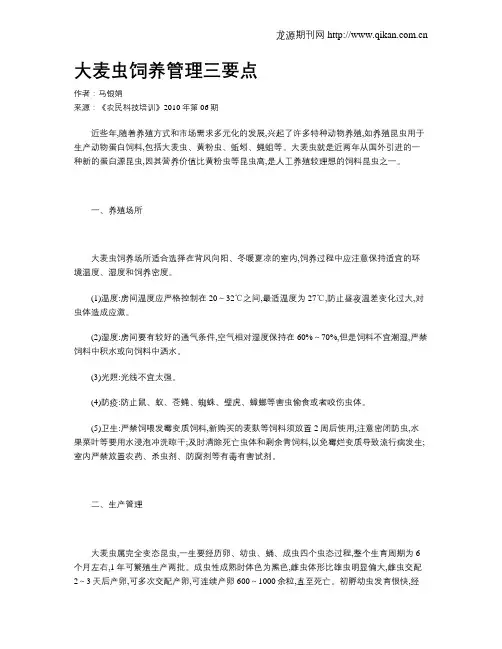 大麦虫饲养管理三要点