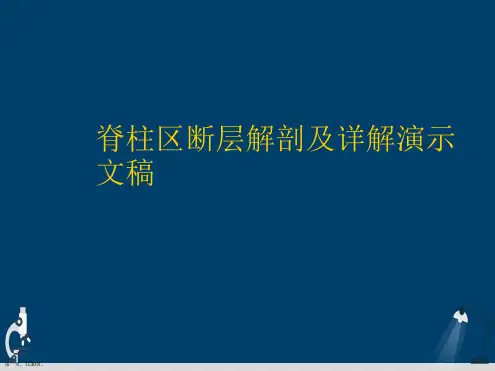 脊柱区断层解剖及详解演示文稿