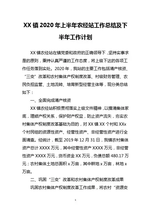 镇2020年上半年农经站工作总结及下半年工作计划