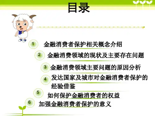 金融消费者保护49页PPT