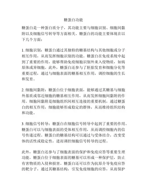 糖蛋白功能