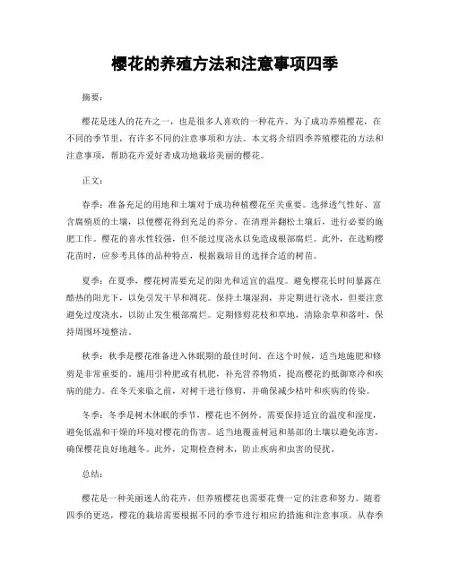樱花的养殖方法和注意事项四季