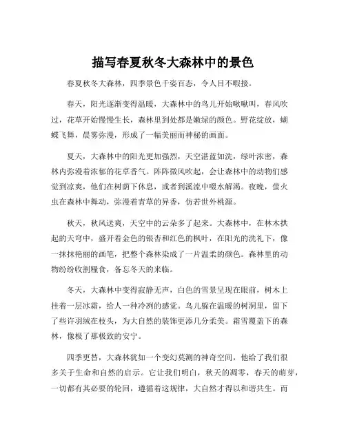 描写春夏秋冬大森林中的景色