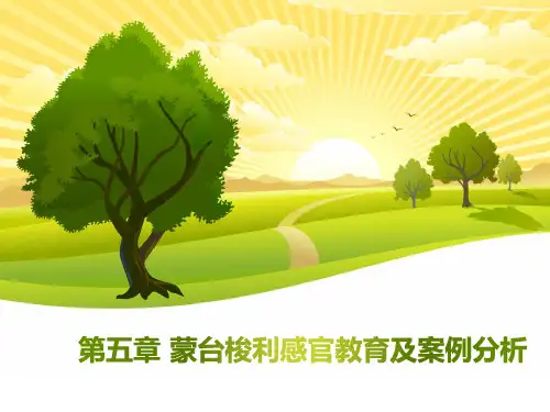新编蒙台梭利感官教育和案例分析