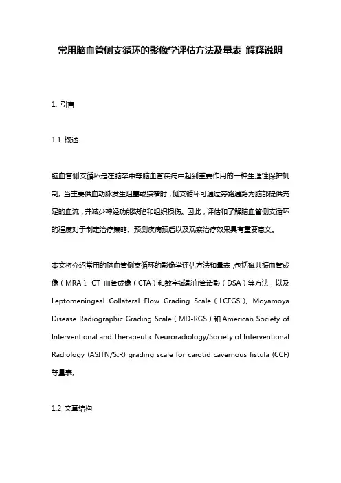 常用脑血管侧支循环的影像学评估方法及量表_解释说明