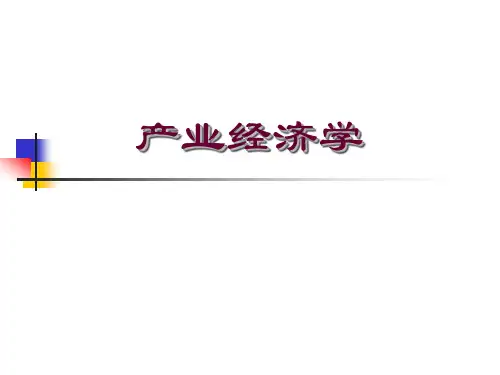 产业经济学-研02
