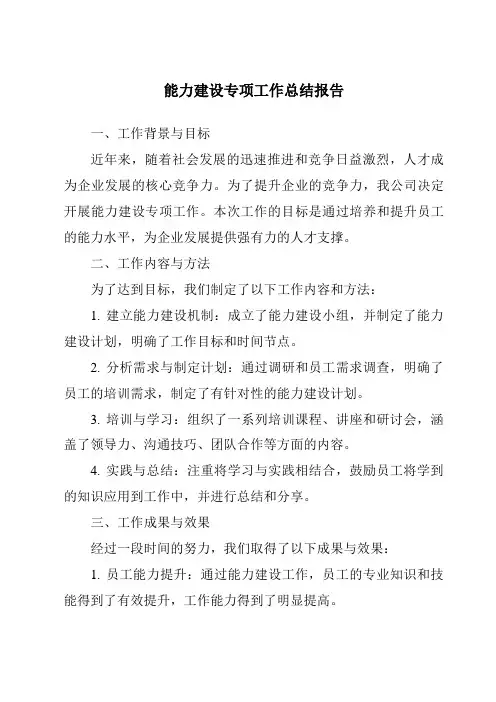 能力建设专项工作总结报告