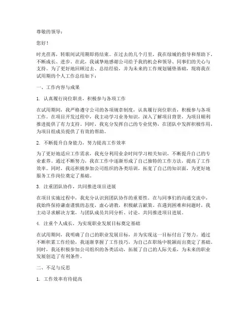 绿城转正申请个人工作总结