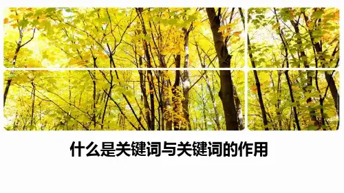 2.关键词作用、核心关键词、长尾词