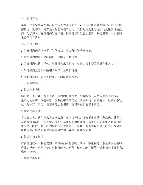 巢湖生态学实习报告