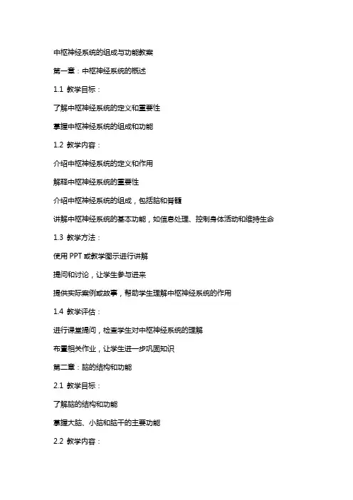 中枢神经系统的组成与功能教案
