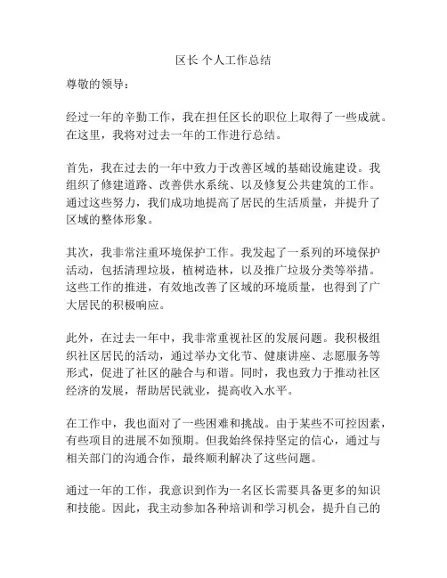 区长 个人工作总结