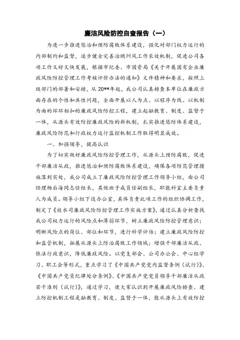 廉洁风险防控自查报告